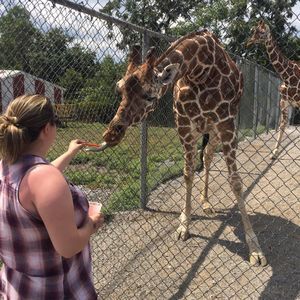 Meet your Posher, Nicole